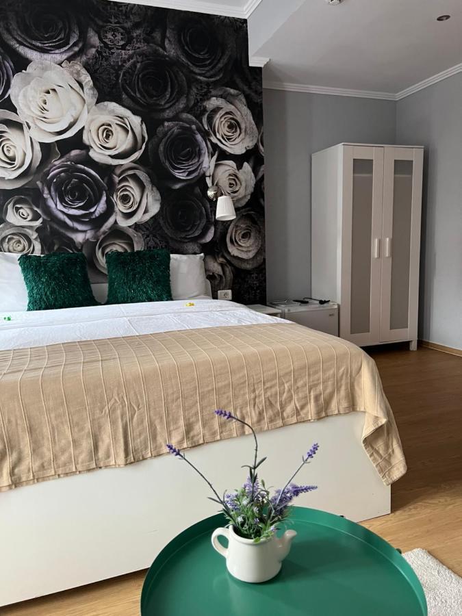 Artmotel & Bistro Haţeg Eksteriør billede