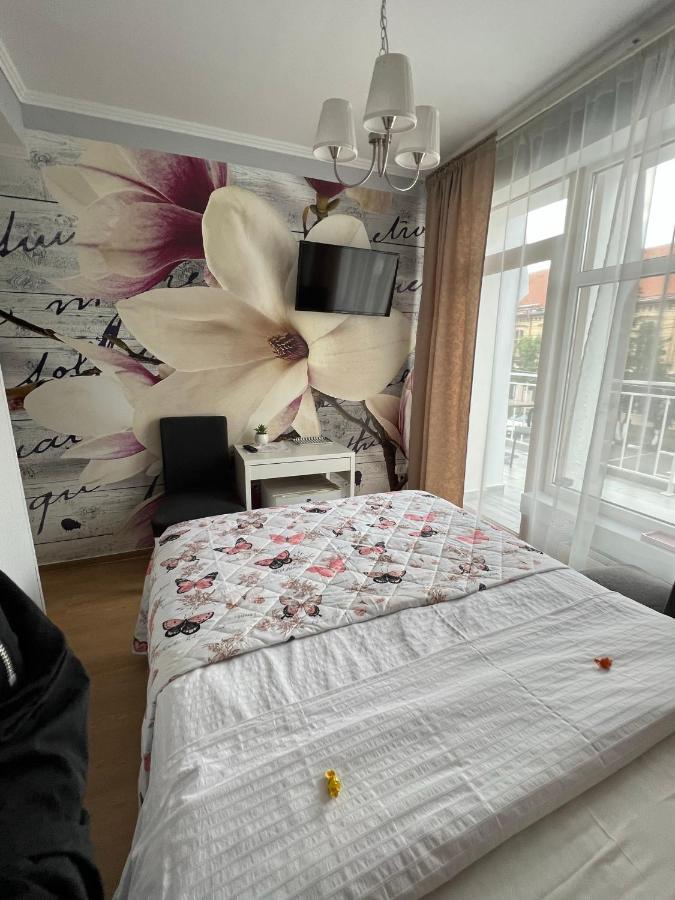 Artmotel & Bistro Haţeg Eksteriør billede